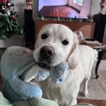 Winnie 💛 - @winnielepetitchef - Instagram