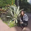 Winnie_le - @winnie.le8 - TikTok