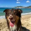 Winnie le berger - @winnie.le.berger - TikTok