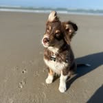 Winnie - @winnieleberger - Instagram