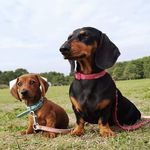 Lottie & Winnie - @lottie_lou_and_winnie_too - Instagram