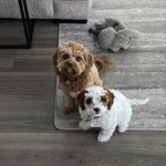 Winnie & Lottie - @winnieandlottie - Instagram