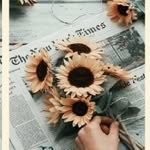 windy - @winnie_moore1 - Instagram