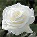 Winnie Moore - Facebook