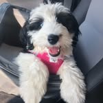 Winnie Moore - @winniemama_ - Instagram