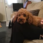 Winnie Moore - @winnie.moore.1884 - Instagram