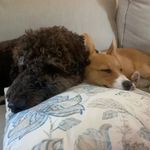 winnifred and norman - @winnie_and_norm - Instagram