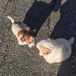 @_winnie_oliver_ - Instagram