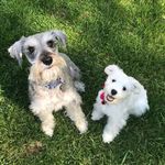 Oliver&Winnie - @oliver_and_winnie - Instagram