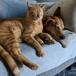 Winnie & Oliver - @cute.and.orange - Instagram