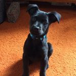 Winnie Oliver - @winnie122517 - Instagram