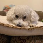 Winnie Oliver💛 - @_winnie.oliver - Instagram