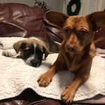 Winnie  & Oliver - @ilove_winnie_oliver - Instagram