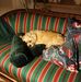 Winnie Pedersen - Facebook