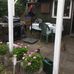 Winnie Pedersen - Facebook