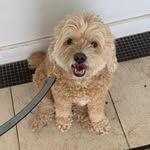 Winnie Bear Reilly - @winniebearreilly - Instagram