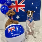 Hi I’m Winnie - @winnie_the_russell_and_oakley - Instagram