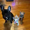 russell.sullivan.winnie - @russell.sullivan.winnie - TikTok
