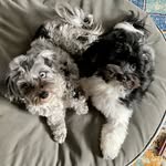 Winnie and Russell - @winnie.and.russell - Instagram