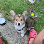 @winnie_russelll - Instagram