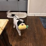 Winnie Lieberman - @winniesapphire.l - Instagram