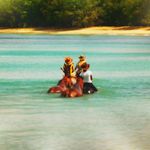 Winnie Simmons - @_winniesimmons_ - Instagram