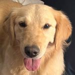 Winnie Sims - @winniesims2020 - Instagram