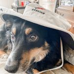 Winston - @winnie_sims3 - Instagram