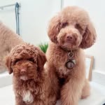 Theodore & Winnie - @theodore.and.winnie - Instagram