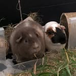 Winnie and Theodore - @winnie.and.theodore - Instagram