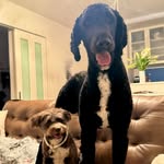 Winnifred & Theodore - @winnie_and_teddy_in_okinawa - Instagram