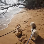 Winnifred and Theodore - @winnifredandtheodore - Instagram