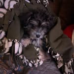 WINNIE VANCE - @winne_the_velociraptor - Instagram