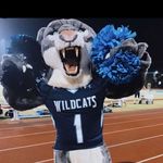 Wally 🐾 - @wally_winnie_wildcat_hbhs - Instagram