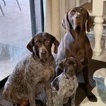 Wally, Maggie & Winnie - @wally.maggie.winnie - Instagram