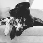 Winnie & Wally - @winnieandwallace - Instagram
