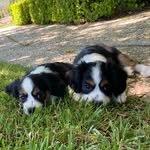 Winnie & Wally - @winnie__wally - Instagram