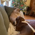 Winnie and Wally - @winnie_wally - Instagram