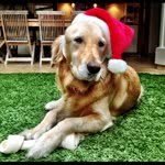 Winnie - @winniewall - Instagram