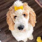 winnie💛🌻 - @winniewallen - Instagram