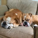 @leo_winnie_walter - Instagram
