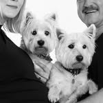 Walter & Winnie - @walter_winnie_westiebutts - Instagram