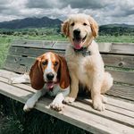 Winnie & Walter - @thewinnieandwalter - Instagram