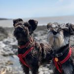 Winnie & Walter - @winniewalter_109 - Instagram