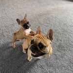 Winnie & Walter - @winniewalter20 - Instagram