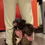 Winnie & Walter - @winnieandwalter_2 - Instagram