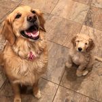 Winnie & Walter - @winnie_and_walter - Instagram