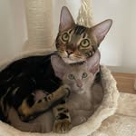 Winnie and Walter - @winn_and_walt - Instagram