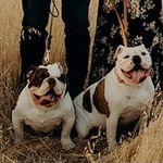 Winnie and Walter - @winnie.and.walter - Instagram