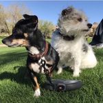 Winnie and Walter - @_walter_and_winnie_ - Instagram